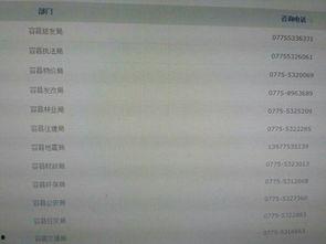 广西新闻在线爆料,揭秘重大事件背后真相  第1张