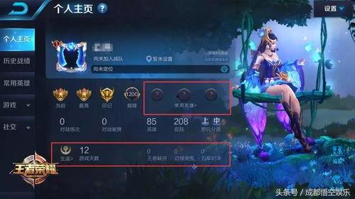 王者5.0最新爆料,神秘英雄登场，游戏体验再升级！  第3张