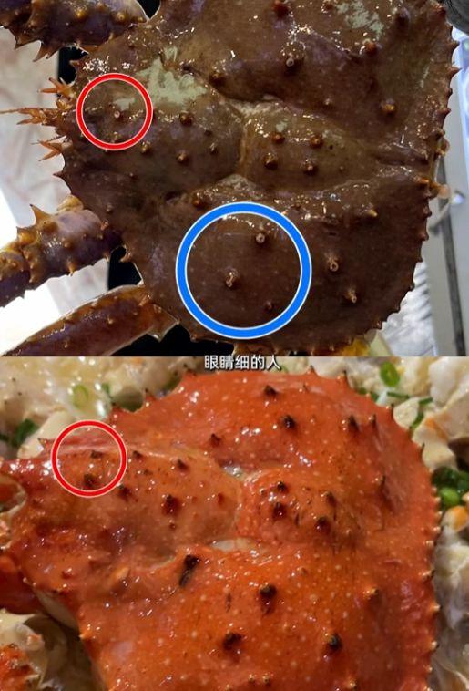 海鲜爆料博主有哪些呢视频,揭秘海鲜界的那些事儿 第3张 海鲜爆料博主有哪些呢视频,揭秘海鲜界的那些事儿 第3张